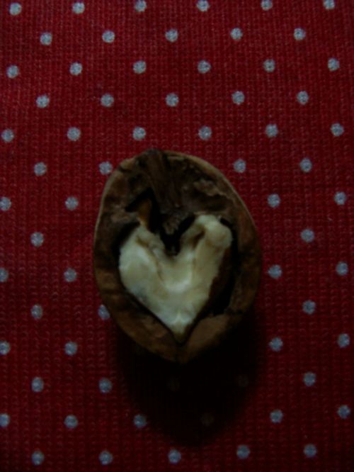 Fotografia de vic_stylo - Galeria Fotografica: mundo interior - Foto: 