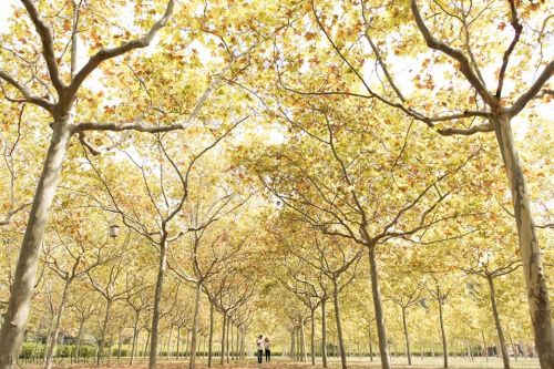 Fotografia de ilumina2 photo - Galeria Fotografica: Boda - Foto: ilumina2 photo