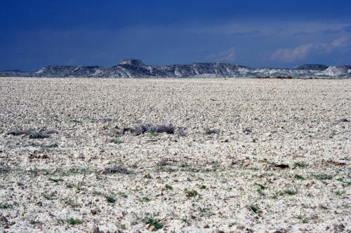 Fotografia de Josean - Galeria Fotografica: Bardenas Reales - Foto: Tierra en secano