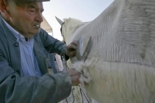 Fotografia de Alvaro F. Prieto - Galeria Fotografica: oficios - Foto: Antonio esquilador