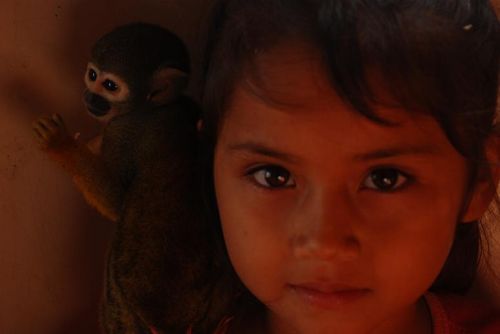 Fotografia de nahuan - Galeria Fotografica: peru- ecuador - Foto: 