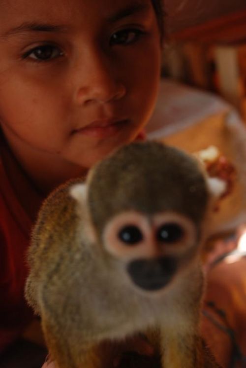 Fotografia de nahuan - Galeria Fotografica: peru- ecuador - Foto: 