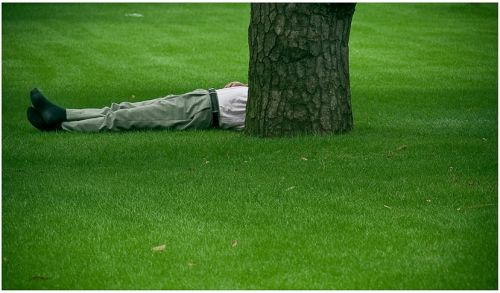 Fotografia de Ivn - Galeria Fotografica: Japn - Foto: 