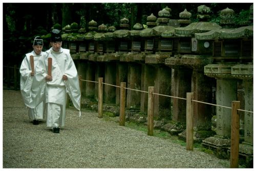 Fotografia de Ivn - Galeria Fotografica: Japn - Foto: 