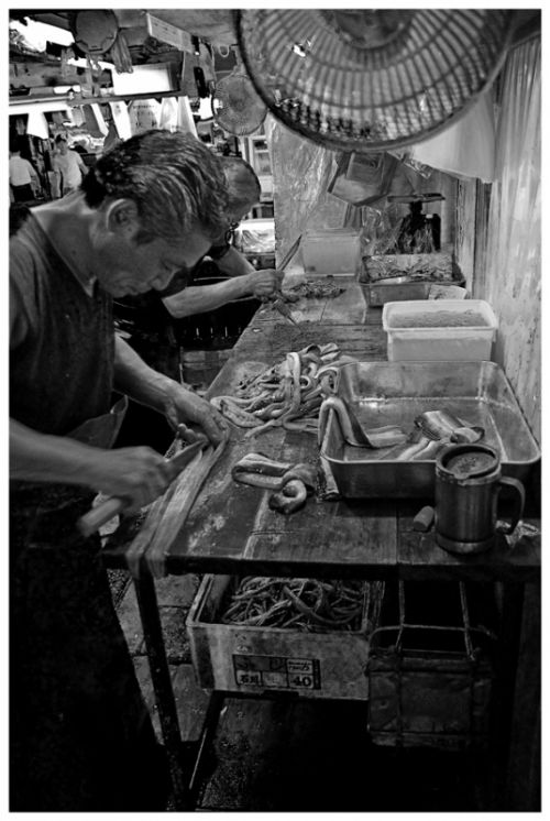 Fotografia de Ivn - Galeria Fotografica: Japn - Foto: 