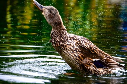 Fotografia de Pablo Barreda Reyes - Fotgrafo - Galeria Fotografica: Mi trabajo - Foto: 