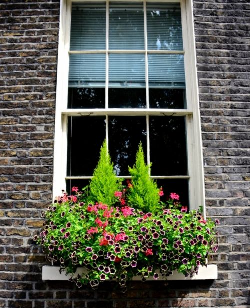 Fotografia de Pablo Barreda Reyes - Fotgrafo - Galeria Fotografica: Mi trabajo - Foto: 