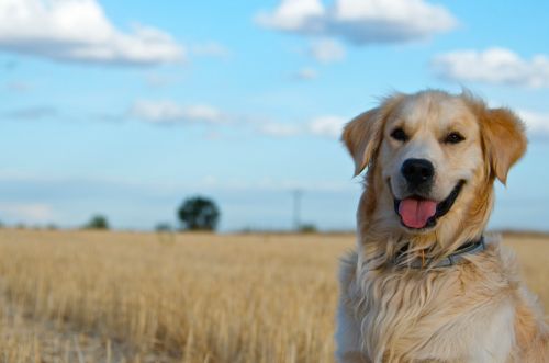 Fotografia de Pablo Barreda Reyes - Fotgrafo - Galeria Fotografica: Mi trabajo - Foto: 