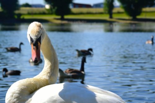 Fotografia de Pablo Barreda Reyes - Fotgrafo - Galeria Fotografica: Mi trabajo - Foto: 