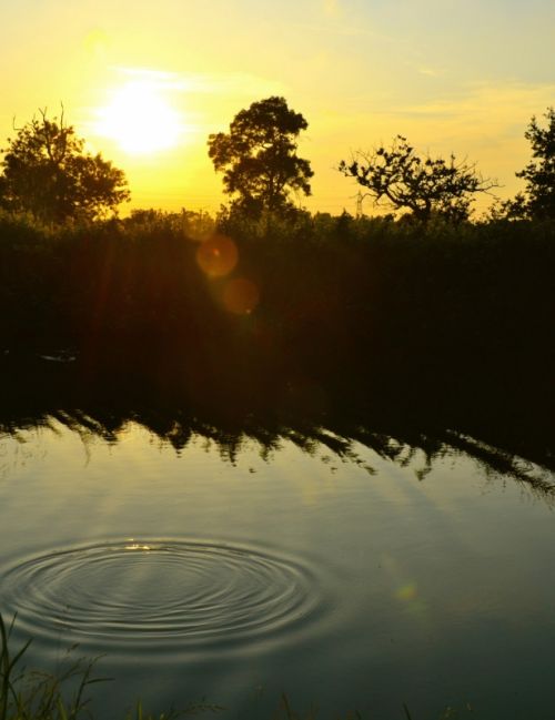 Fotografia de Pablo Barreda Reyes - Fotgrafo - Galeria Fotografica: Mi trabajo - Foto: 