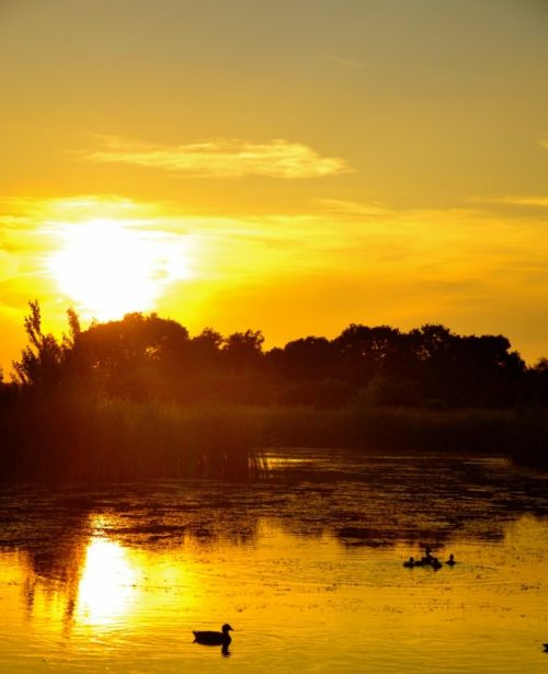 Fotografia de Pablo Barreda Reyes - Fotgrafo - Galeria Fotografica: Mi trabajo - Foto: 