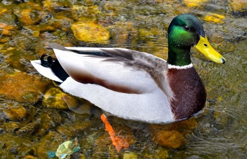 Fotografia de Pablo Barreda Reyes - Fotgrafo - Galeria Fotografica: Mi trabajo - Foto: 