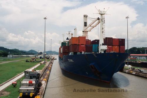 Fotografia de Annie - Galeria Fotografica: Travesia por el Canal de Panam - Foto: David y Goliad