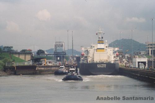 Fotografia de Annie - Galeria Fotografica: Travesia por el Canal de Panam - Foto: Travesia III