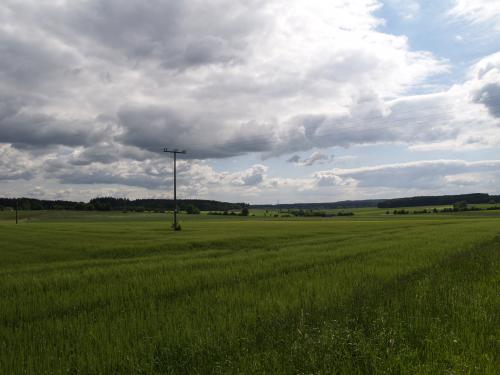 Fotografia de Studio Digital - Galeria Fotografica: He aprendidio algo ? - Foto: Vista en Gran Angular