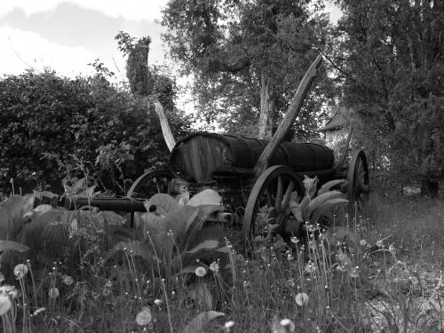 Fotografia de Studio Digital - Galeria Fotografica: He aprendidio algo ? - Foto: Abandonado