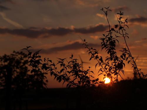 Fotografia de Studio Digital - Galeria Fotografica: He aprendidio algo ? - Foto: Atardecer