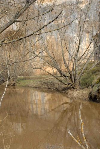 Fotografia de L CHV - Galeria Fotografica: montejo - Foto: arbol