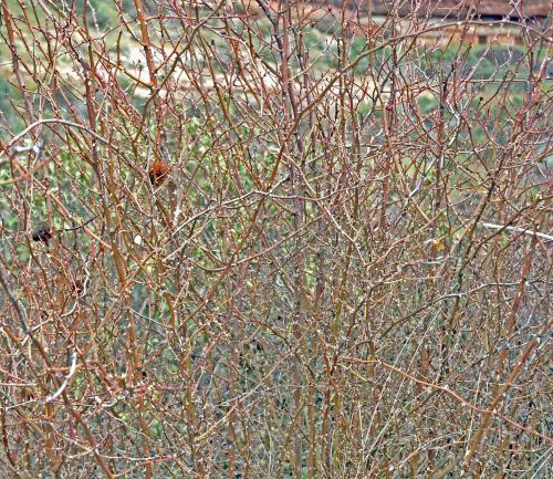 Fotografia de L CHV - Galeria Fotografica: montejo - Foto: filigrana