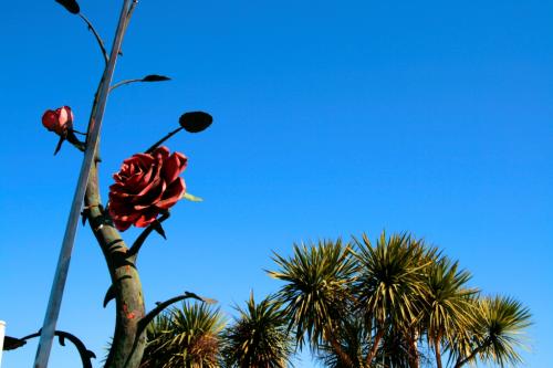 Fotografia de Ruben Garcia - Galeria Fotografica: Paisajes - Foto: 