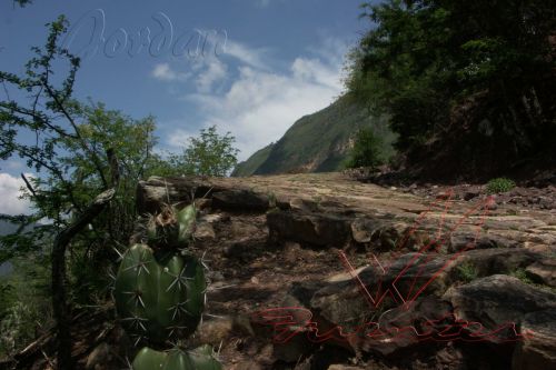 Fotografia de fuentes - Galeria Fotografica: Mi Pueblito Querido... - Foto: 