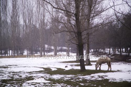 Fotografia de salvador fotografia - Galeria Fotografica: Por el Sur de Espaa - Foto: 