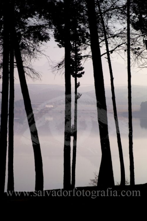 Fotografia de salvador fotografia - Galeria Fotografica: Por el Sur de Espaa - Foto: 