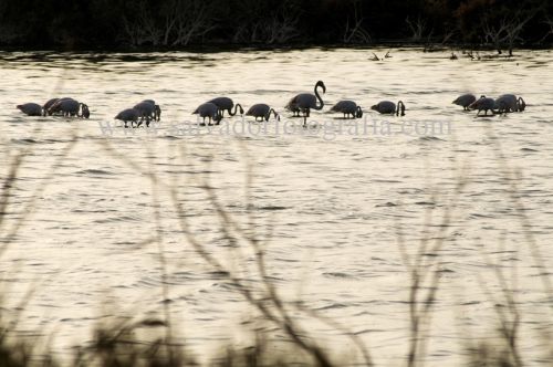 Fotografia de salvador fotografia - Galeria Fotografica: Por el Sur de Espaa - Foto: 