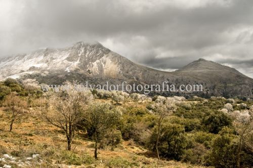 Fotografia de salvador fotografia - Galeria Fotografica: Por el Sur de Espaa - Foto: 