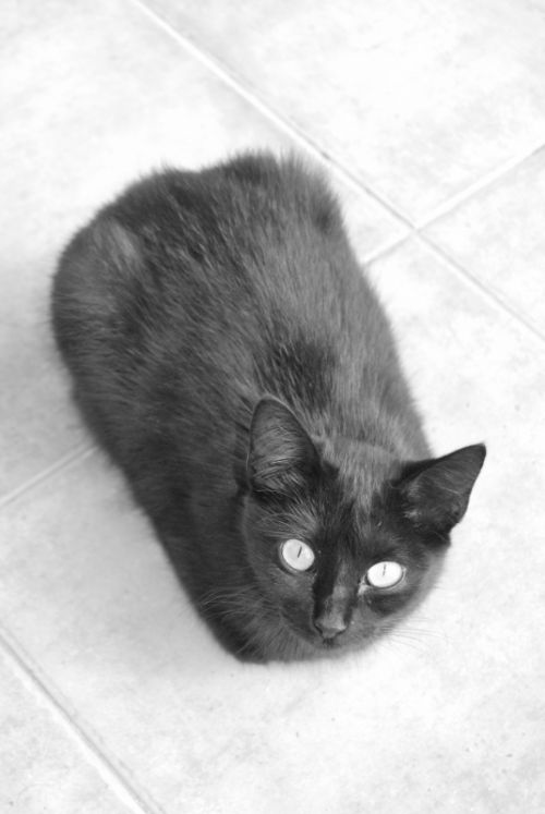 Fotografia de LISA BAES  - Galeria Fotografica: Inocencia - Foto: 