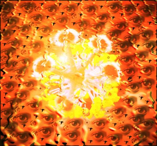 Fotografia de EKE - Galeria Fotografica: ibiscus - Foto: Interior