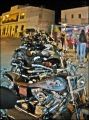Fotos de EKE -  Foto: ibiscus - Harleys