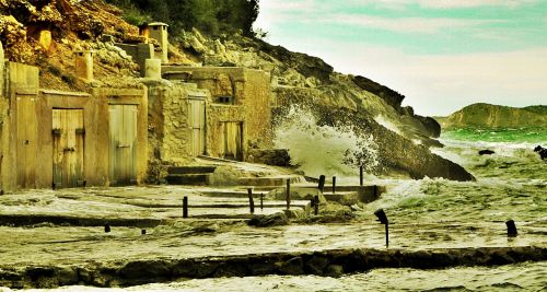 Fotografia de EKE - Galeria Fotografica: ibiscus - Foto: cala salada