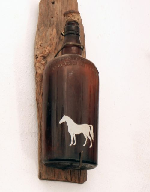 Fotografia de EKE - Galeria Fotografica: ibiscus - Foto: White Horse