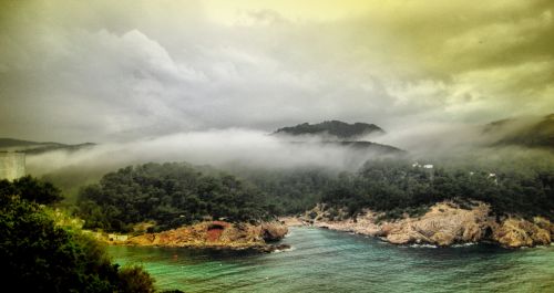 Fotografia de EKE - Galeria Fotografica: ibiscus - Foto: cala multons