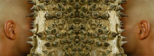 Fotografia de Robert - Galeria Fotografica: Ogbe Bara (Si vistes al desnudo y le hechas en cara tu favor, no lo has vestido ) - Foto: Iba ori Roberto Martinez, 2007