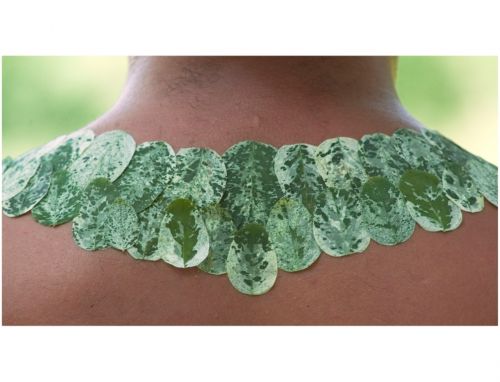 Fotografia de Robert - Galeria Fotografica: Ogbe Bara (Si vistes al desnudo y le hechas en cara tu favor, no lo has vestido ) - Foto: Iwori Okana (Lo que busca delante,lo tiene detr�s 