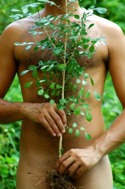 Fotografia de Robert - Galeria Fotografica: Ogbe Bara (Si vistes al desnudo y le hechas en cara tu favor, no lo has vestido ) - Foto: No me arranques madre, yo soy una planta humilde d