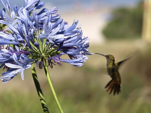 Fotografia de Antique Cameras - Galeria Fotografica: MIRANDO A LA CAMARA - Foto: MIRANDO LA CAMARA								