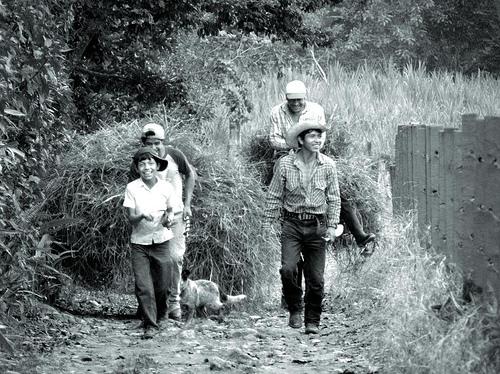 Fotografia de Juan Jos Martnez Nogueira - Galeria Fotografica: Compartiendo Veracruz - Foto: Al final de la jornada