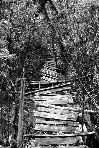 Fotografia de Juan Jos� Mart�nez Nogueira - Galeria Fotografica: Blanco y Negro - Foto: Puente Colgante