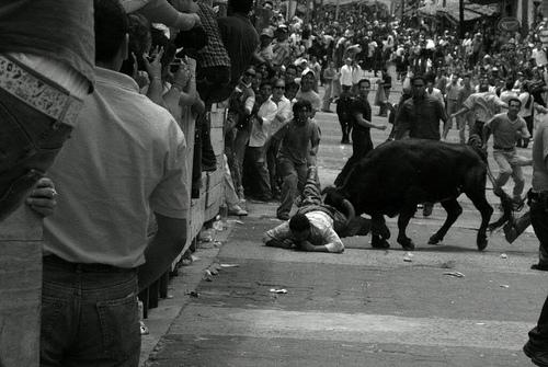 Fotografia de Juan Jos Martnez Nogueira - Galeria Fotografica: Fiestas - Foto: Zarandeado