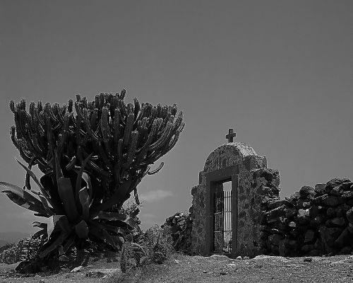 Fotografia de Estudio Mortellaro - Galeria Fotografica: Diversas - Foto: Panten Rural