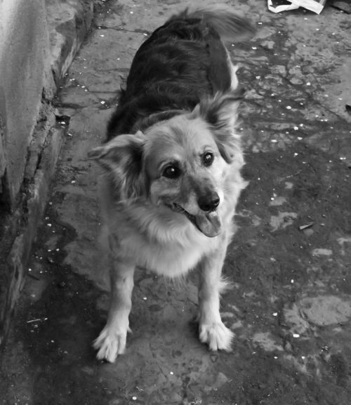 Fotografia de alexpicturelabs - Galeria Fotografica: ediciones digitales - Foto: kazumi