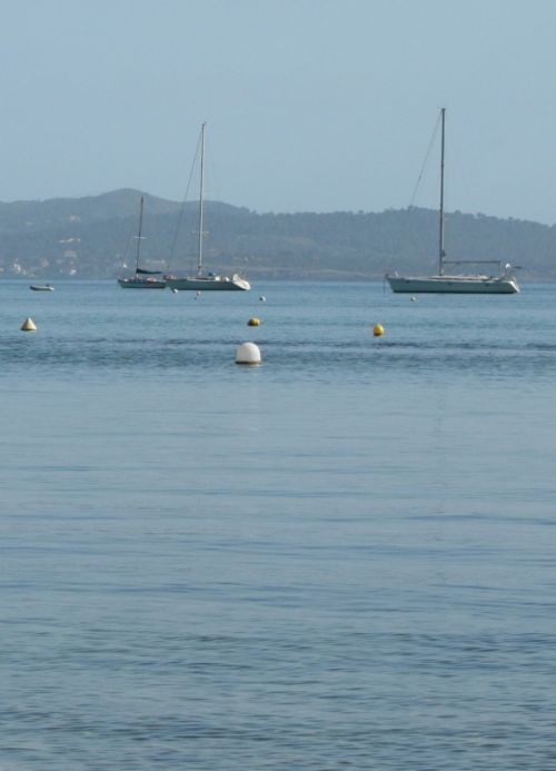 Fotografia de Akima - Galeria Fotografica: Muestra - Foto: 