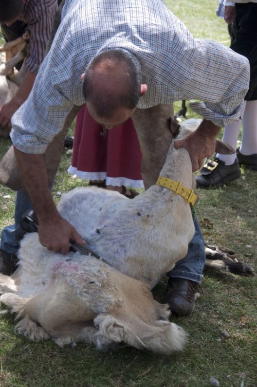 Fotografia de Vickydp - Galeria Fotografica: ETNOGRAFA - Foto: ESQUILEO