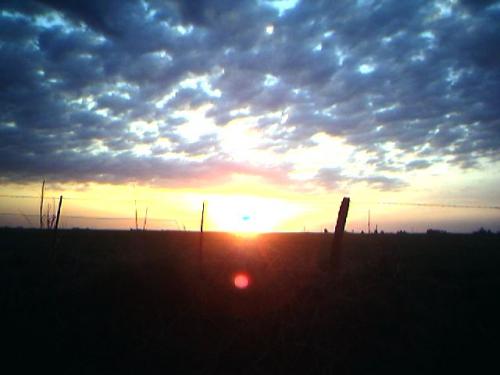 Fotografia de Matas - Galeria Fotografica: Fotos Varias - Foto: Atardecer en el campo