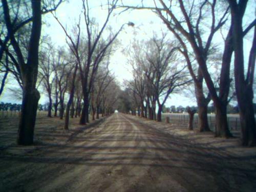 Fotografia de Matas - Galeria Fotografica: Fotos Varias - Foto: Camino al cielo