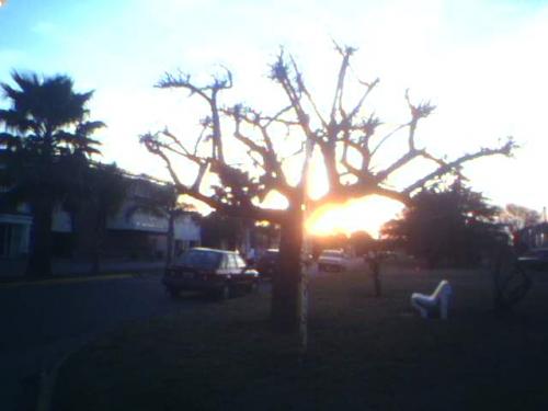 Fotografia de Matas - Galeria Fotografica: Fotos Varias - Foto: Invitacin a reflexionar