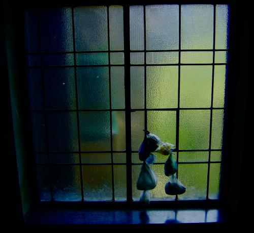 Fotografia de Aurelius - Galeria Fotografica: Wroclaw - Foto: Window